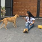 Ishika Singh Instagram - With my new buddies ... two cute and friendly dogs 🐕 #puppylove #doglovers #doglover🐶 #doglover #streetdogsofindia