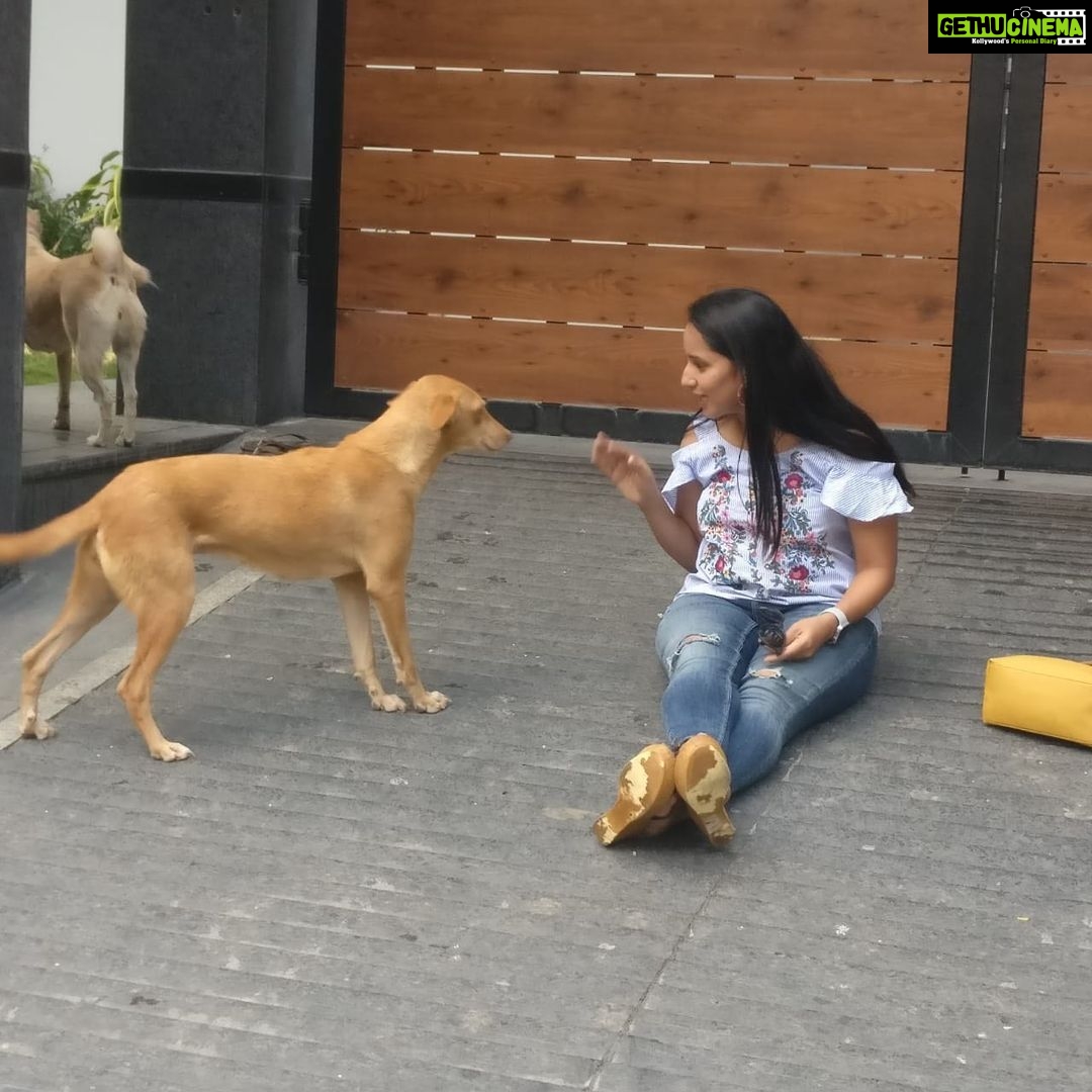Ishika Singh Instagram - With my new buddies ... two cute and friendly dogs 🐕 #puppylove #doglovers #doglover🐶 #doglover #streetdogsofindia