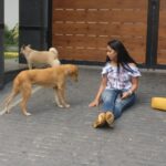 Ishika Singh Instagram - With my new buddies ... two cute and friendly dogs 🐕 #puppylove #doglovers #doglover🐶 #doglover #streetdogsofindia