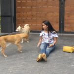 Ishika Singh Instagram - With my new buddies ... two cute and friendly dogs 🐕 #puppylove #doglovers #doglover🐶 #doglover #streetdogsofindia