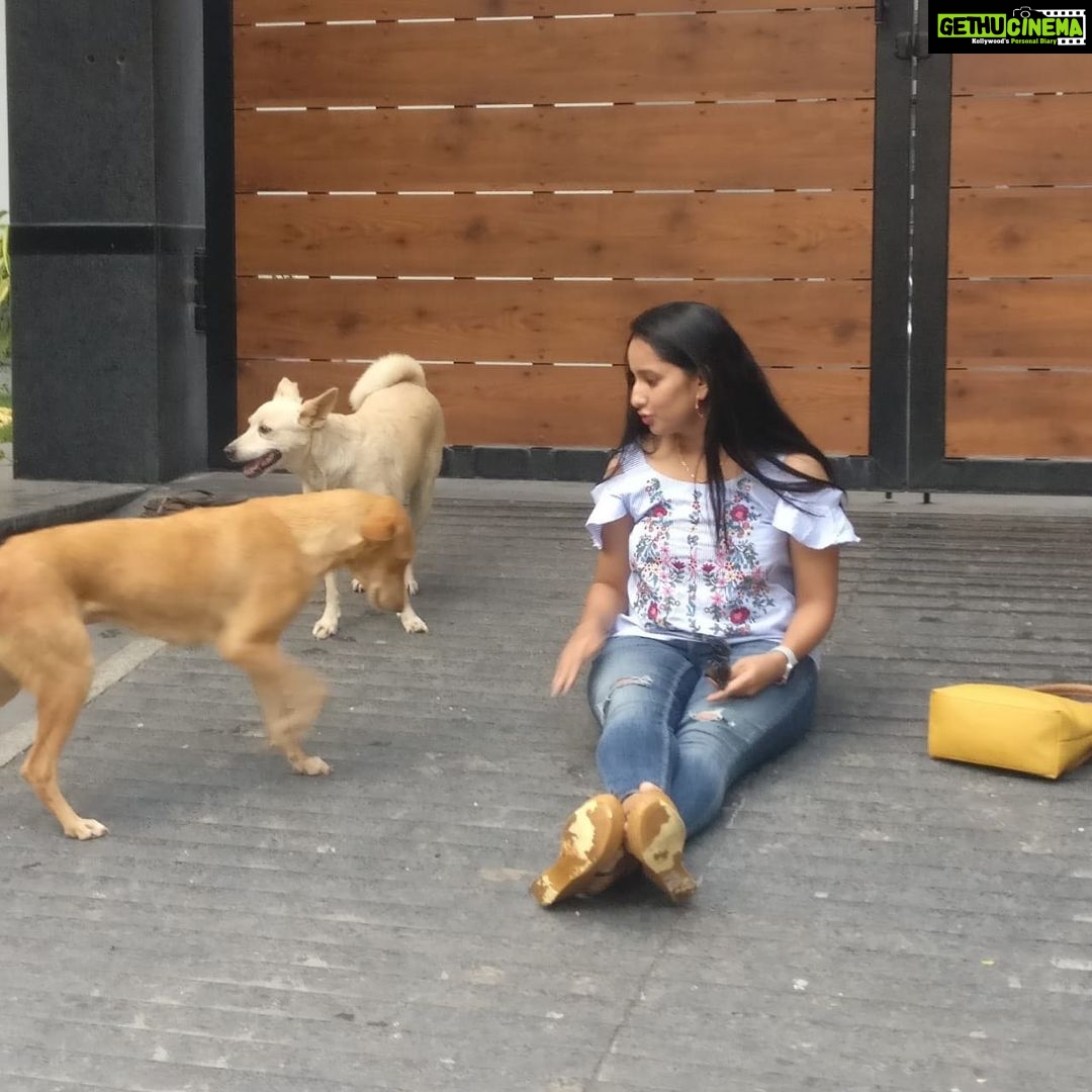 Ishika Singh Instagram - With my new buddies ... two cute and friendly dogs 🐕 #puppylove #doglovers #doglover🐶 #doglover #streetdogsofindia