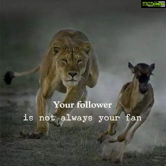 Ishika Singh Instagram - Omg 😮 and insta says I have 10.6k followers 😨😛#instagramfollowers #survivalofthefittest #lifequotes