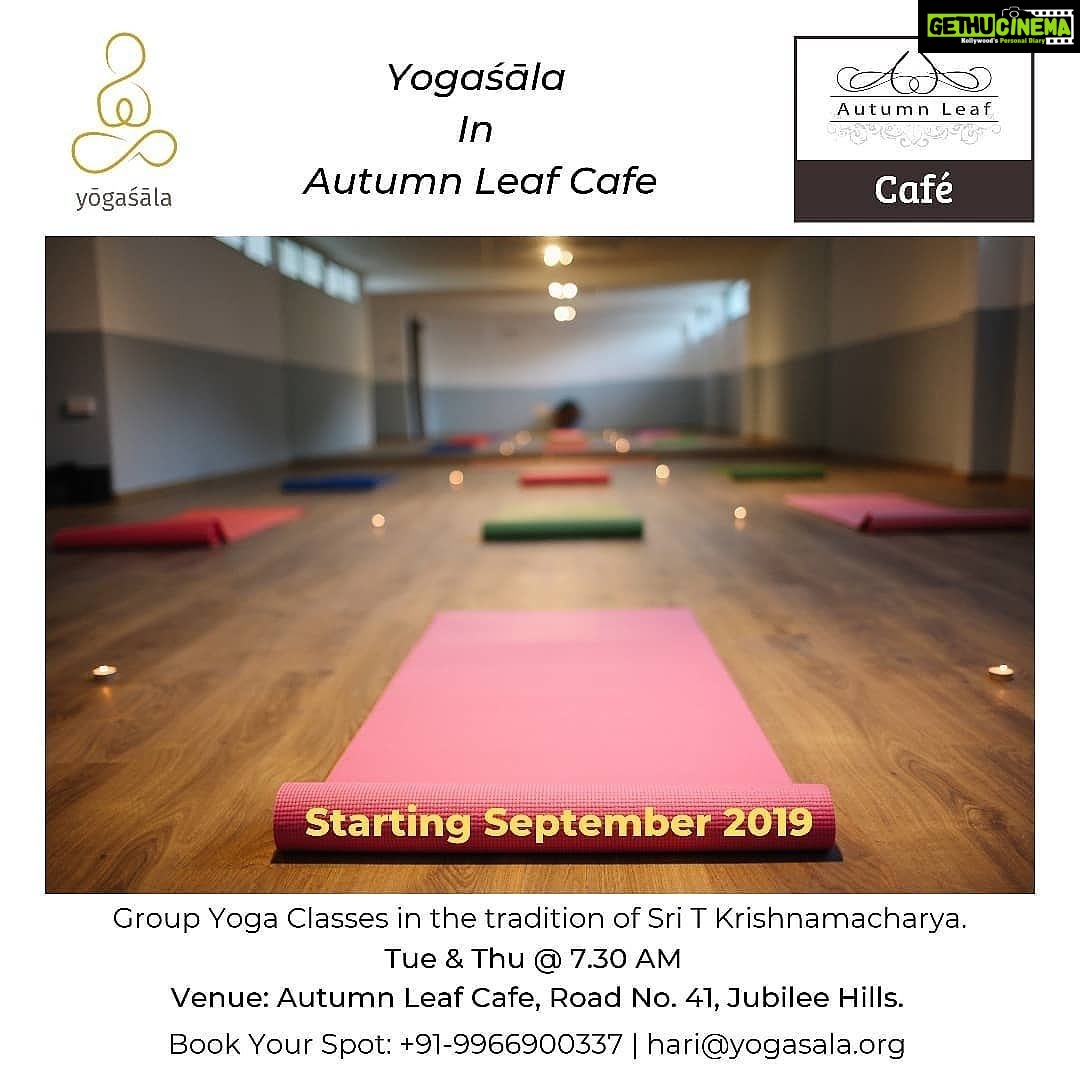 Ishika Singh Instagram - Yoga classes at autumn leaf π cafe ... do join for mind , body and soul cleansing π My friend Hari will b taking classes in the tradition of shr T Krishnamacharya . You wonβt regret it ... take a session and check out π @yoga_trails @yogasalain @autumnleafcafe