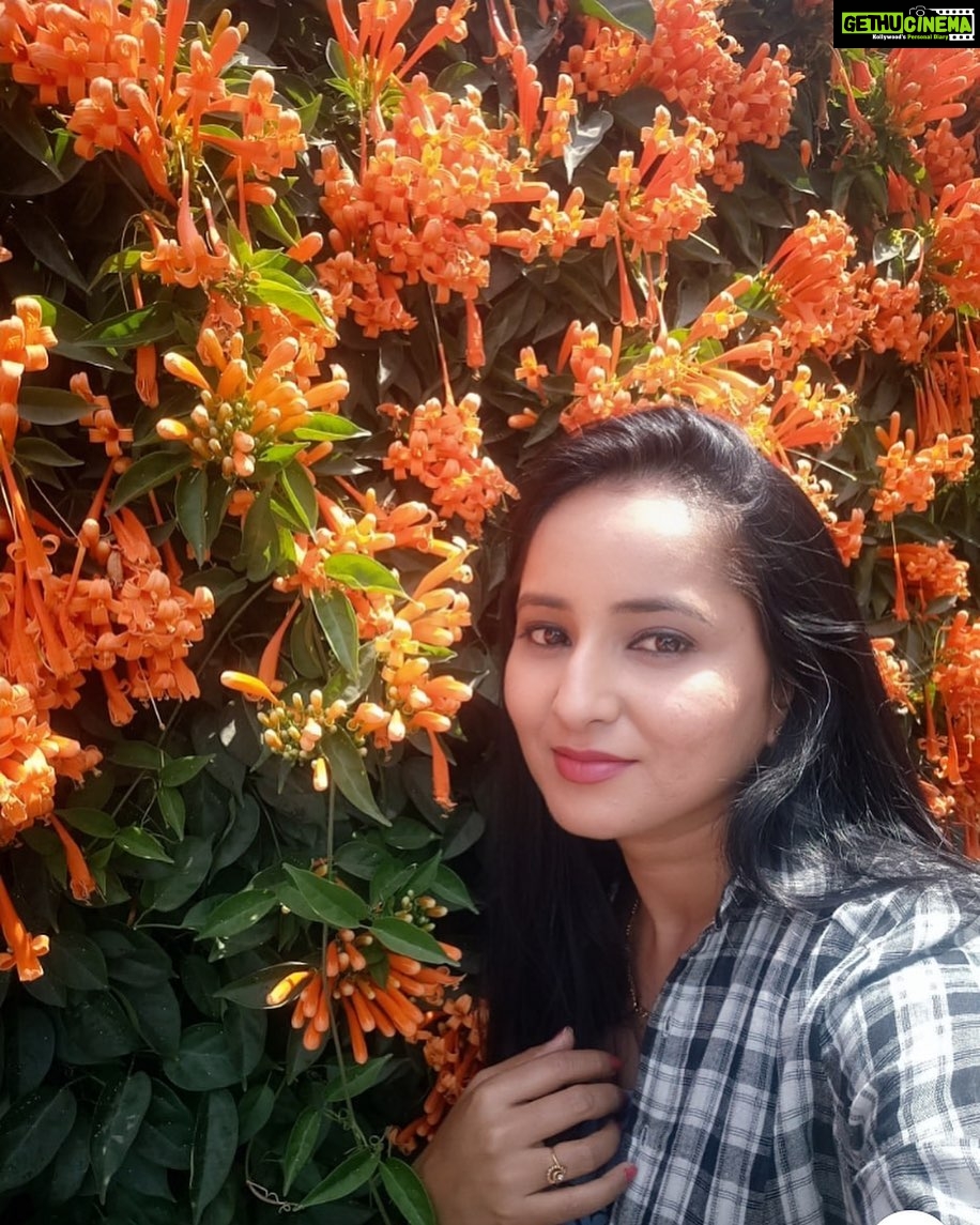 Ishika Singh - 281 Likes - Summer is here .... vibrant mornings ..#morningstar #telugufilmnagar #telugufilmindustry #actorslife🎬 #actoratwork