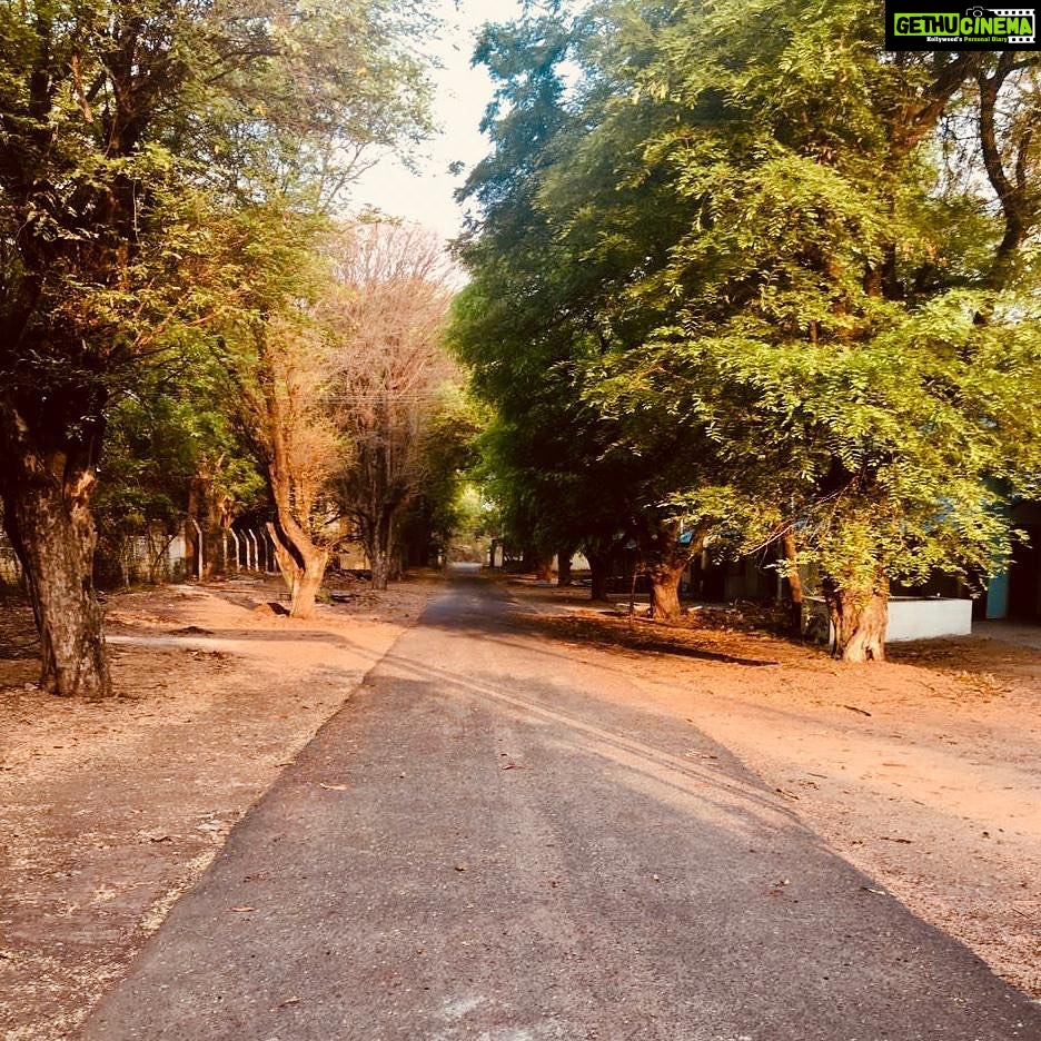 Ishika Singh Instagram - “ A walk to remember “ #walktoremember #photographylove #comfortandhappiness #naturephotography
