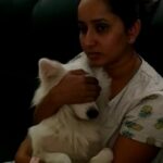 Ishika Singh Instagram - He is like night walkers of #got ... LOVE WHEN HIS EYES SHINE BRIGHT 😂😊#damrooo #damroo #pawsome #doglovers #doglover🐶 #dogsofinstagram #gameofthrones #gameofthronesmemes
