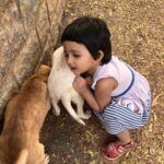 Ishika Singh Instagram - Whoever said diamonds are a girls best friend …. Never owned a dog 🐕 #doglover #doglove #doglove #dogs #dogscorner #babygirl #babystyle #toddlerlife #toddlermom #toddleractivities #lovefordogs #outdoors #streetdogs #streetdogsofindia