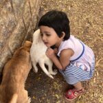 Ishika Singh Instagram – Whoever said diamonds are a girls best friend …. Never owned a dog 🐕 #doglover #doglove #doglove #dogs #dogscorner #babygirl #babystyle #toddlerlife #toddlermom #toddleractivities #lovefordogs #outdoors #streetdogs #streetdogsofindia