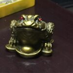 Ishika Singh Instagram - His bright red eyes keep looking at me ... my new supervisor #fengshui #fengshuifrog #inseeyatarot