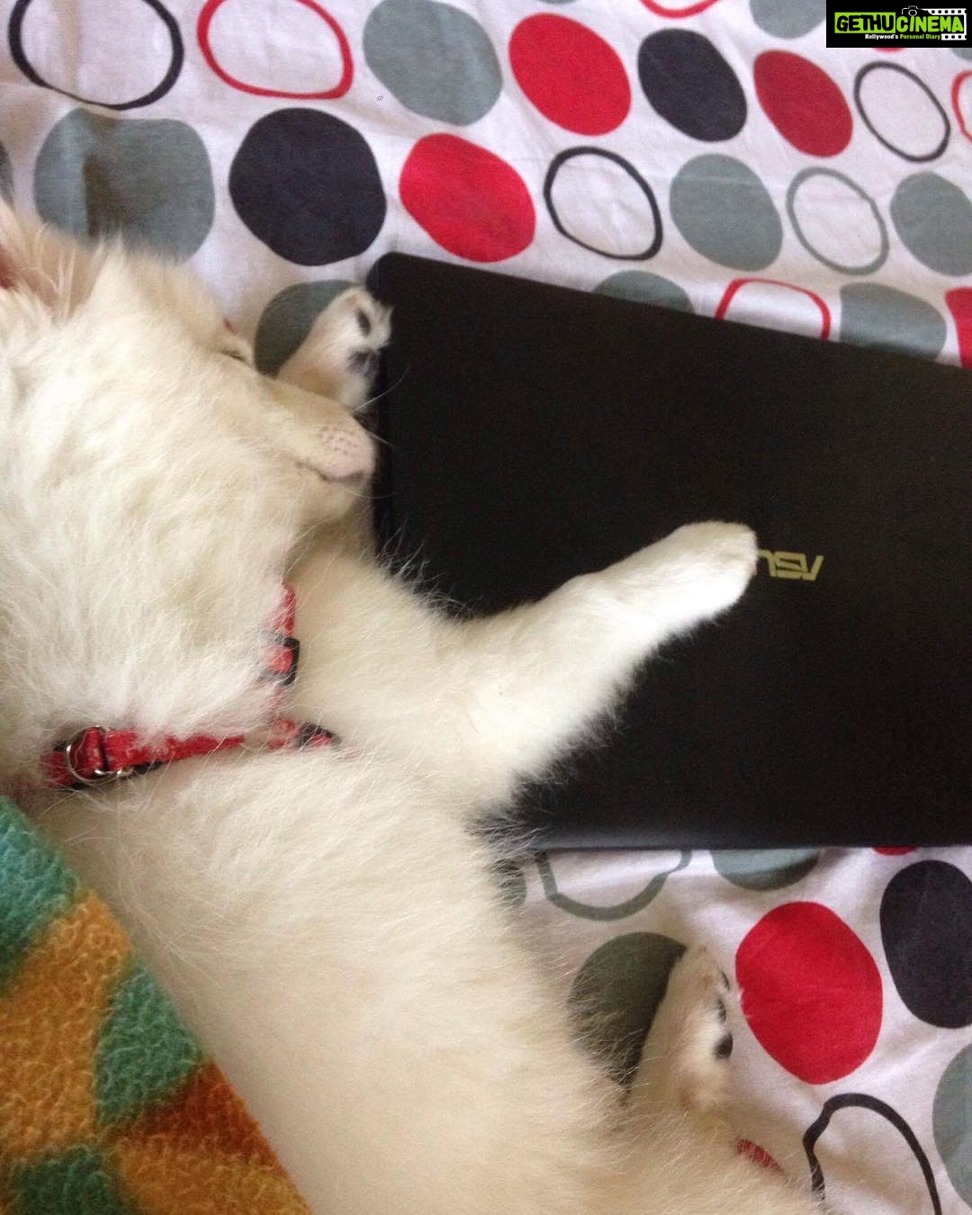 Ishika Singh Instagram - Will always miss you my baby .. #damroo #doglovers #pawsome