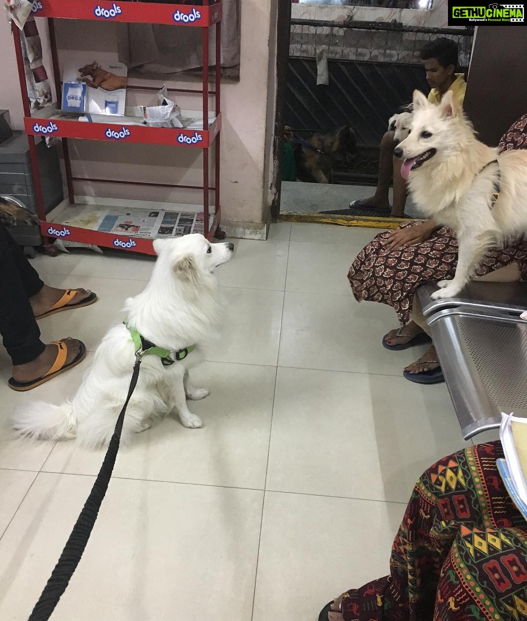 Ishika Singh Instagram - They spoke to each other for long ... #doglovers #doglover #petlovers #pawsome #paws🐾 #damroo