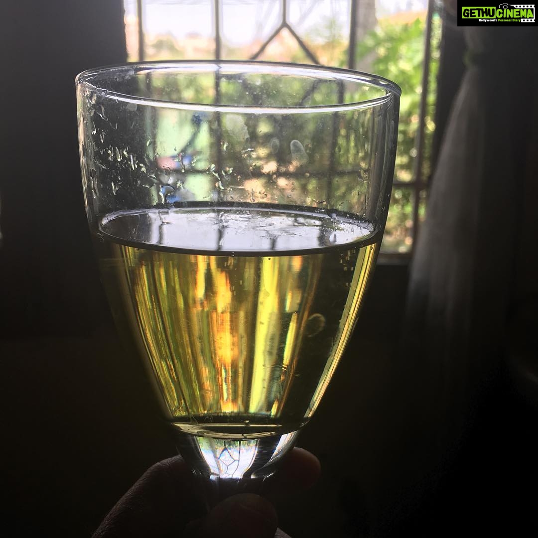 Ishika Singh Instagram - Sunday afternoon #sundayvibes #sundayafternoons #capinellacheninblancwesterncape🥂💯 #finestwine