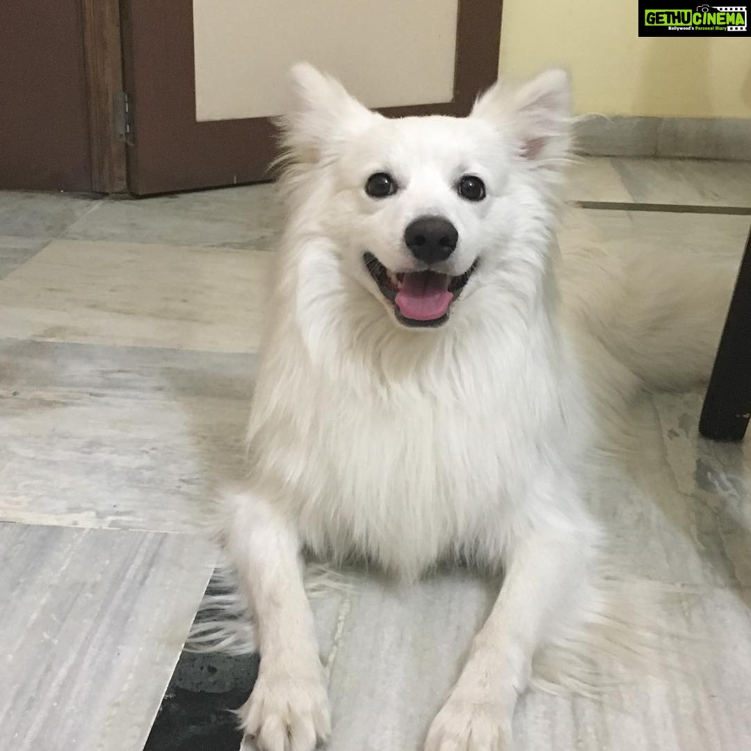 Ishika Singh Instagram - Love u loads ... to moon to stars to everything .... my best friend and my love ๐ Damroo #damroo #cutnessoverloadedโค๐๐๐๐๐๐๐ #petlover #doglovers #pawsome