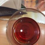 Ishika Singh Instagram - I drink and I know things #lovetodrink