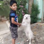 Ishika Singh Instagram – Two of my favourites #cutenessoverload #innocentteens #dogandboy #pawsome #doglovers #doglove❤️ #kidsatheart