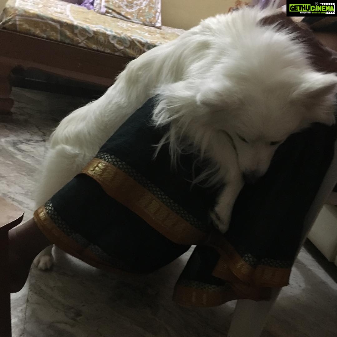 Ishika Singh Instagram - Dog love #pawsome #doglovers #doglove #damroo #puppylove🐶