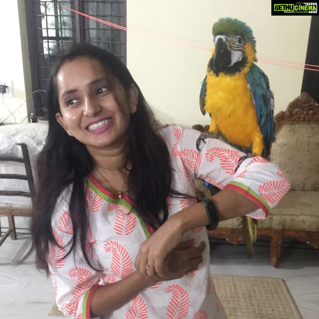 Ishika Singh Instagram - Tota bola #blueandyellowparrot #parrot #parrottalking #lovelyparrots #birdlovers