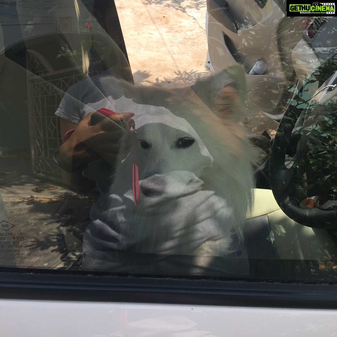 Ishika Singh Instagram - When my boy refuses to get down the car n am getting late for work #doglovers #pawsome #doglover #damroo