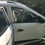 Ishika Singh Instagram - When my boy refuses to get down the car n am getting late for work #doglovers #pawsome #doglover #damroo