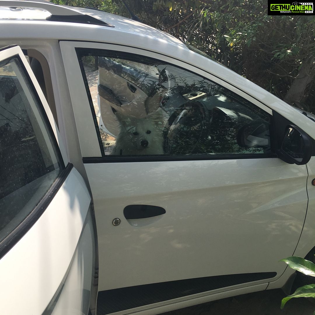 Ishika Singh Instagram - When my boy refuses to get down the car n am getting late for work #doglovers #pawsome #doglover #damroo