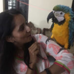 Ishika Singh Instagram - Tota bola #blueandyellowparrot #parrot #parrottalking #lovelyparrots #birdlovers