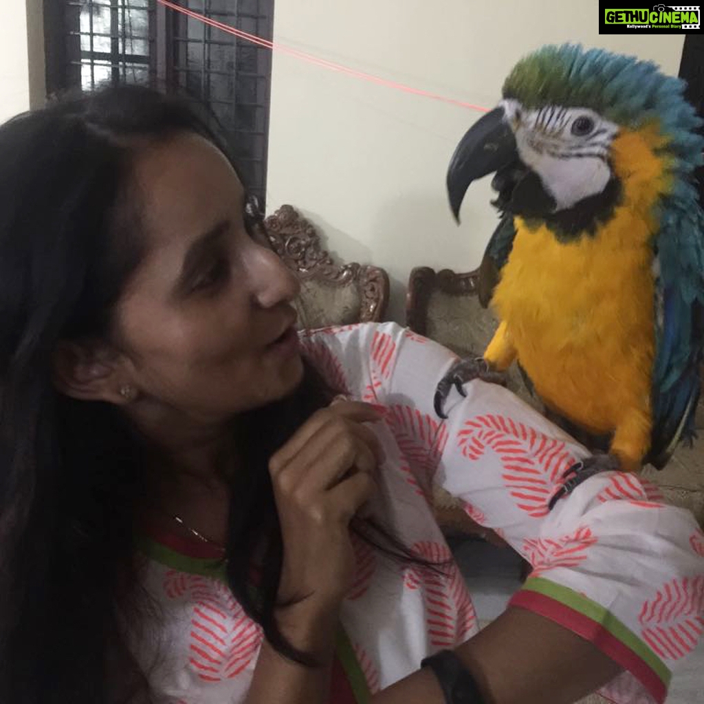 Ishika Singh Instagram - Tota bola #blueandyellowparrot #parrot #parrottalking #lovelyparrots #birdlovers