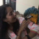 Ishika Singh Instagram - Tota bola #blueandyellowparrot #parrot #parrottalking #lovelyparrots #birdlovers