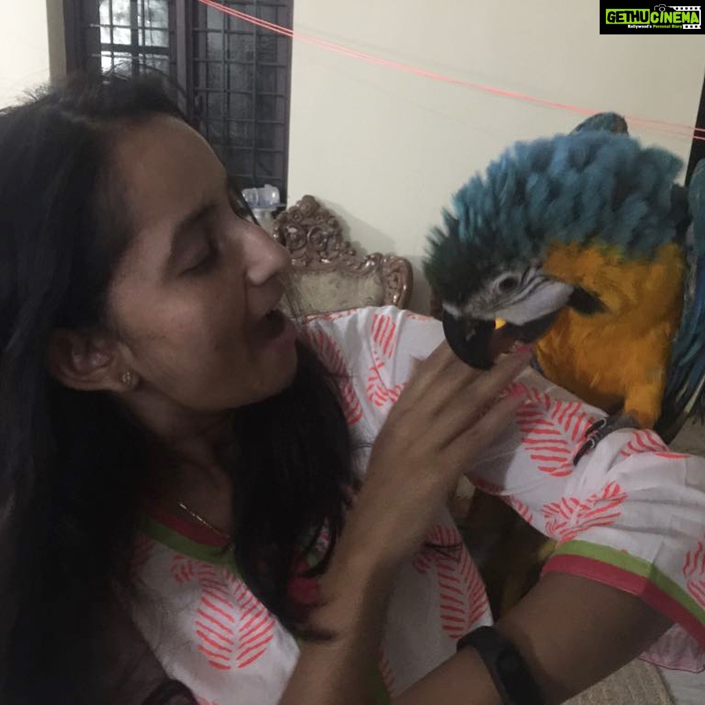 Ishika Singh Instagram - Tota bola #blueandyellowparrot #parrot #parrottalking #lovelyparrots #birdlovers