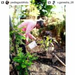 Jackie Shroff Instagram – #Repost @pedlagaobhidu
• • • • • •
#Repost @v.ganesha_28
• • • • • •
Sangamner

Best things to do in lockdown time…🌱
.
@pedlagaobhidu is an appeal from our favourite legend Mr.jackie Shroff @apnabhidu .

1.take a photo with #plant or  #selfieWithAplant 
2.nominate/tag 3 friends
3.post with @pedlagaobhidu , @plant_a_tree_movement tag

Ask them to further nominate 3 more to do same and so on.
Compaign’s top supporters :
@mayank1780 
@meenucultural .
#pedlagaocampaign #plantation #plantatree #planttrees #saveenvironment  #save #nature #pedlagao .
#plant #nature #plants #green #gogreen #garden #gardening #gardentips