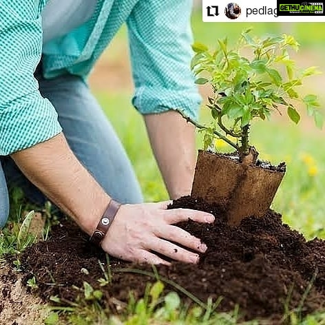 Jackie Shroff Instagram - #Repost @pedlagaobhidu • • • • • • A special message appeal from our favourite, jackie shroff #PedLagao Campaign forward. Take a #SelfieWithAPlant and further nominate (3 names) to plant a tree and nominate 3 more to so and send to us #PedLagaoCampaign #plantation #PlantATree #planttrees #SaveEnvironment #save #love #nature #niceinitiativemk #pedlagao