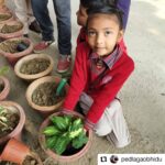 Jackie Shroff Instagram - #Repost @pedlagaobhidu • • • • • • #Repost @mayank1780 • • • • • • A special message appeal from our favourite, jackie shroff #PedLagaoCampaign forward. Take a #SelfieWithAPlant and further nominate (3 names) to plant a tree and nominate 3 more to do so. So we Rotaract Club Of Delhi Youngsters move forward and initiated a project #PlantAdoption Once done, tag Jackie on his socials and share.. Fab initiative Jackie, we need more people like you... And also tag: @mayank1780 @rcody_3012 @nannisingh @pedlagaobhidu @apnabhidu #showcaseevents #jackieshroff #showcaseevents @rotaryinternational #PlantATree #SaveEnvironment #SupportACause #SelfieWithPlant rotaractpower #rotaract #rotaractclub #rotaractinternational #social #plantaddict #rotaractpower #rotaract #rotaractclub @narendramodi #modi #rotaractinternational #rotaractors #rotarians #social #socialworker #rotaryclub #rotaryyouthexchange #niceinitiativemk #follow4followback #followers #followforfollowback #follow @shudhdesicomic @meenucultural