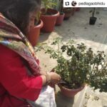 Jackie Shroff Instagram - Happy birthday !! God bless you ! #Repost @pedlagaobhidu • • • • • • On the occasion of My moms birthday today we have planted 10saplings❤ A special message appeal from our favourite, jackie shroff #PedLagaoCampaign forward. Take a #SelfieWithAPlant and further nominate (3 names) to plant a tree and nominate 3 more to do so. So we Rotaract Club Of Delhi Youngsters move forward and initiated a project #PlantAdoption Once done, tag Jackie on his socials and share.. Fab initiative Jackie, we need more people like you... And also tag: @mayank1780 @rcody_3012 @nannisingh @pedlagaobhidu @apnabhidu #showcaseevents #jackieshroff #showcaseevents Pic by: Pinki Agarwal #PlantATree #SaveEnvironment #SupportACause #SelfieWithPlant rotaractpower #rotaract #rotaractclub #rotaractinternational #social #plantaddict #rotaractpower #rotaract #rotaractclub @narendramodi #modi #rotaractinternational #rotaractors #rotarians #social #socialworker #rotaryclub #rotaryyouthexchange #niceinitiativemk #follow4followback #followers #followforfollowback #follow @shudhdesicomic @meenucultural