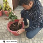 Jackie Shroff Instagram - Bhidu, ek dum sahi .. #Repost @pedlagaobhidu • • • • • • A special message appeal from our favourite, jackie shroff #PedLagaoCampaign forward. Take a #SelfieWithAPlant and further nominate (3 names) to plant a tree and nominate 3 more to do so. So we Rotaract Club Of Delhi Youngsters move forward and initiated a project #PlantAdoption Once done, tag Jackie on his socials and share.. Fab initiative Jackie, we need more people like you... And also tag: @mayank1780 @rcody_3012 @nannisingh @pedlagaobhidu @apnabhidu #showcaseevents #jackieshroff #showcaseevents I further nominate: 1chanchal 2 Harsh 3.saransh Pic by: My brother @ritikagarwal2367 #PlantATree #SaveEnvironment #SupportACause #SelfieWithPlant rotaractpower #rotaract #rotaractclub #rotaractinternational #social #plantaddict #rotaractpower #rotaract #rotaractclub @narendramodi #modi #rotaractinternational #rotaractors #rotarians #social #socialworker #rotaryclub #rotaryyouthexchange #niceinitiativemk #follow4followback #followers #followforfollowback #follow4followback @shudhdesicomic