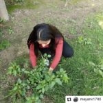 Jackie Shroff Instagram – #Repost @mayank1780
• • • • • •
A special message appeal from our favourite, Jackie Shroff:
 #PedLagaoCampaign forward. 
Take a #SelfieWithAPlant and further nominate (3 names) to plant a tree and nominate 3 more to do so. 
So we Rotaract Club Of Delhi Youngsters move forward and initiated a project #PlantAdoption

Once done, tag Jackie on his socials and share..
Fab initiative Jackie, we need more people like you… And also tag
@mahank1780
@nannisingh
@naina.kukreja05 
@rcody_3012 
@apnabhidu 
#showcaseevents
#jackieshroff
#showcaseevents
@rcody_3012
@pedlagaobhidu
I further Nominate:
1.DRR- PHF Rtr.Mudita Khurana
2.DRRE- PHF Rtr.Varda Sardana
3.DRRN- PHF Rtr.Vipul Agrawal

Pic by: President Rtr. Bhavya Chawla

#PlantATree #SaveEnvironment #SupportACause #SelfieWithPlant
#rotaractpower #rotaract #rotaractclub #rotaractinternational #social #plantaddict
#rotaractpower #rotaract #rotaractclub #rotaractinternational #social #plantaddict #rotaractpower #rotaract @narendramodi #modi #rotaractclub #rotaractinternational #rotaractors #rotarians #social #socialworker #rotaryclub #rotaryyouthexchange #niceinitiativemk