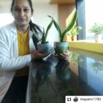 Jackie Shroff Instagram - #Repost @mayank1780 • • • • • • A special message appeal from our favourite, jackie shroff #PedLagaoCampaign forward. Take a #SelfieWithAPlant and further nominate (3 names) to plant a tree and nominate 3 more to do so. So we Rotaract Club Of Delhi Youngsters move forward and initiated a project #PlantAdoption Once done, tag Jackie on his socials and share.. Fab initiative Jackie, we need more people like you... And also tag @mayank1780 @nannisingh @apnabhidu @showcaseevents18 @rcody_3012 #showcaseevents #jackieshroff #showcaseevents @pedlagaobhidu I further Nominate: 1.Pulkit 2.Anshi 3.Rtr.Yash Bhardwaj Pic by: Rtr.Neha Bhardwaj #PlantATree #SaveEnvironment #SupportACause #SelfieWithPlant rotaractpower #rotaract #rotaractclub #rotaractinternational #social #plantaddict #rotaractpower #rotaract @narendramodi #modi #rotaractclub #rotaractinternational #rotaractors #rotarians #social #socialworker #rotaryclub #rotaryyouthexchange #niceinitiativemk