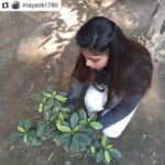 Jackie Shroff Instagram - #Repost @mayank1780 • • • • • • A special message appeal from our favourite, jackie shroff #PedLagaoCampaign forward. Take a #SelfieWithAPlant and further nominate (3 names) to plant a tree and nominate 3 more to do so. So we Rotaract Club Of Delhi Youngsters move forward and initiated a project #PlantAdoption Once done, tag Jackie on his socials and share.. Fab initiative Jackie, we need more people like you... And also tag @mayank1780 @rcody_3012 @nannisingh @apnabhidu @showcaseevents18 #showcaseevents #jackieshroff #showcaseevents @pedlagaobhidu I further Nominate: 1.Davish 2.pooja 3.komal Pic by: Rtr.Sanjana #PlantATree #SaveEnvironment #SupportACause #SelfieWithPlant rotaractpower #rotaract #rotaractclub #rotaractinternational #social #plantaddict #rotaractpower @narendramodi #modi #rotaract #rotaractclub #rotaractinternational #rotaractors #rotarians #social #socialworker #rotaryclub #rotaryyouthexchange #niceinitiativemk