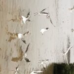 Jackie Shroff Instagram - Birds of a Feather...