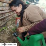 Jackie Shroff Instagram - Thanks to principal, students of DAV Ashok Vihar phase 4 and @mayank1780 for taking @pedlagaobhidu forward. • • • • • • 1.Ped lagao, 2.Take a #SelfieWithAPlant and 3.further nominate (3 names) to plant a tree and nominate 3 more to do so. Once done, tag me on and share.. And also tag: @pedlagaobhidu Pic by: DAV Ashok Vihar phase 4