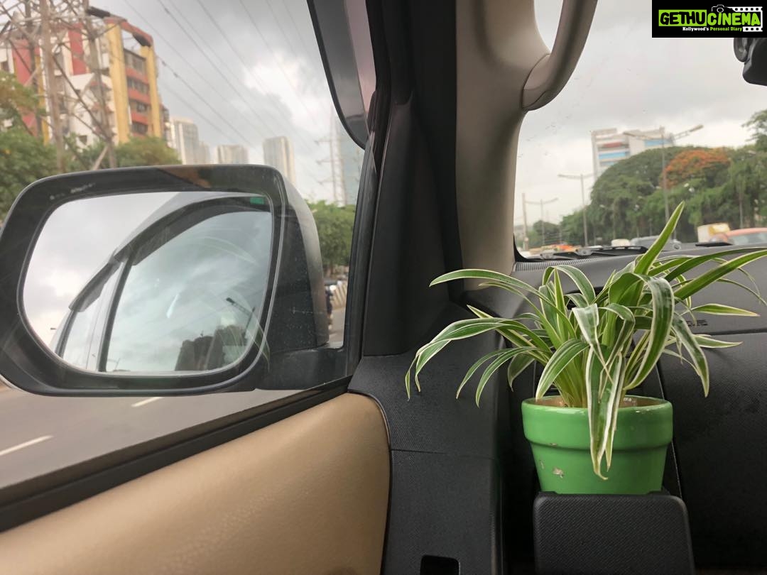 Jackie Shroff Instagram - Way to protect from toxic in car bhidus keep spider plant in the car