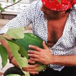 Jackie Shroff Instagram –