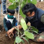 Jackie Shroff Instagram – Repost @ayeshashroff please plant trees 🙏❤ save our planet @apnabhidu