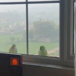Jackie Shroff Instagram - Morning Visitors #Vrindavan
