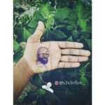 Jayasurya Instagram – Thank you brother….😍😍😍