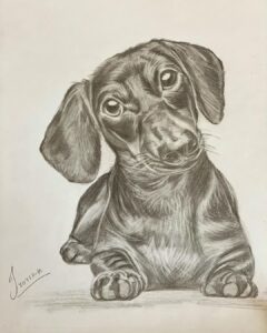 Jyothika Instagram - For our darling pets Oreo and waffle 
The littlest paw prints make the biggest impression in our hearts ♥️