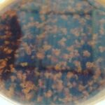 Karthik Kumar Instagram - Storm in a Coffee cup :)