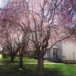 Karthik Kumar Instagram - Even the Spring is inevitable