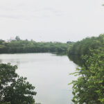 Karthik Kumar Instagram – This view next to youur home while in the heart of #Chennai : full gratitude. ❤️