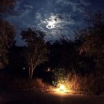 Kay Kay Menon Instagram - Observations on a silent night! #TravelDiaries #nighttime #travelphotography #travelersnotebook #campfire #moonlight #moonlitsky