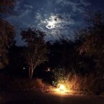 Kay Kay Menon Instagram - Observations on a silent night! #TravelDiaries #nighttime #travelphotography #travelersnotebook #campfire #moonlight #moonlitsky