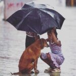 Kay Kay Menon Instagram - Often in a calamity, the most faithful are the most neglected! Thankfully a child's innocence always recognises it! #MumbaiRains #BeKindToAnimals #makeadifference